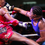 Image (Muay Thai Lesson)